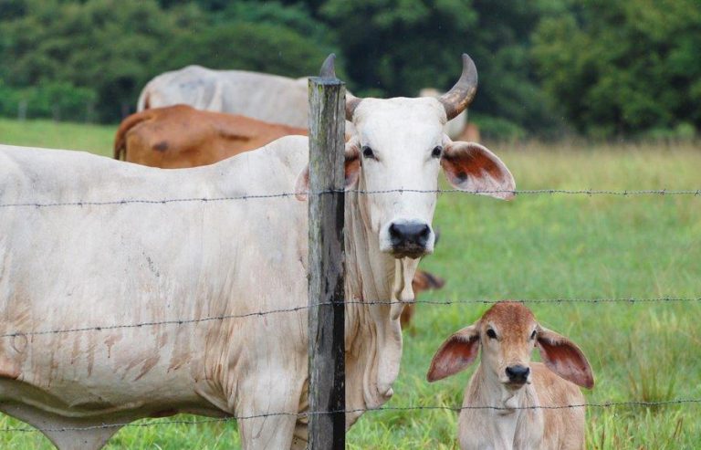 Pandemia continúo afectando actividades económicas en Panamá, hasta agosto
