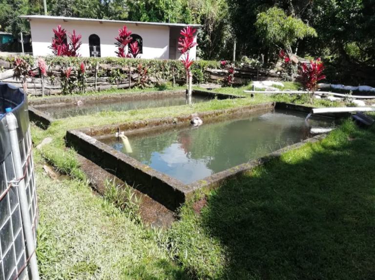 INEC aplicará Encuesta de Acuicultura 2021 a nivel nacional