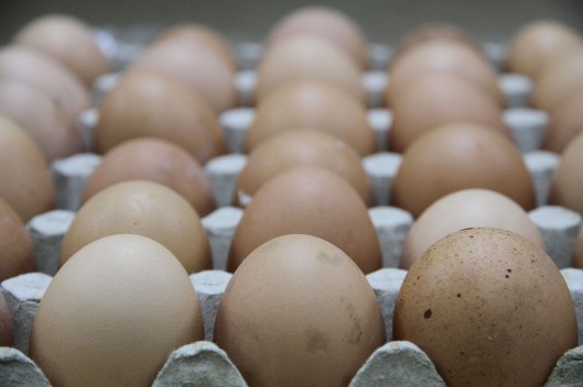 Pandemia y crisis mundial impactaron PIB del primer semestre de 2020 en Panamá