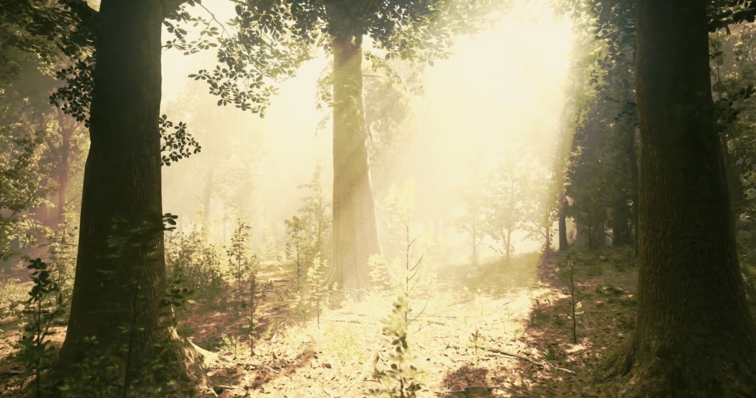 Cuidamos que cada proyecto cumpla su propósito.